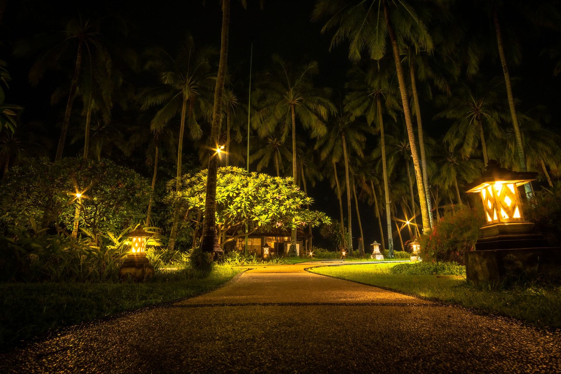Professional landscape lighting