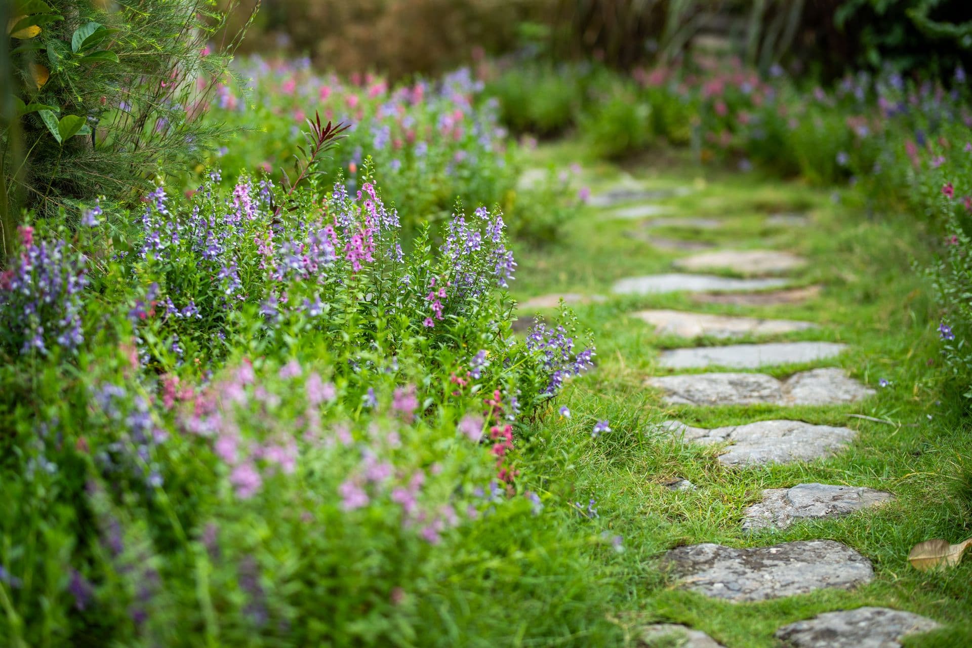 Colorful flower garden with stone pathways