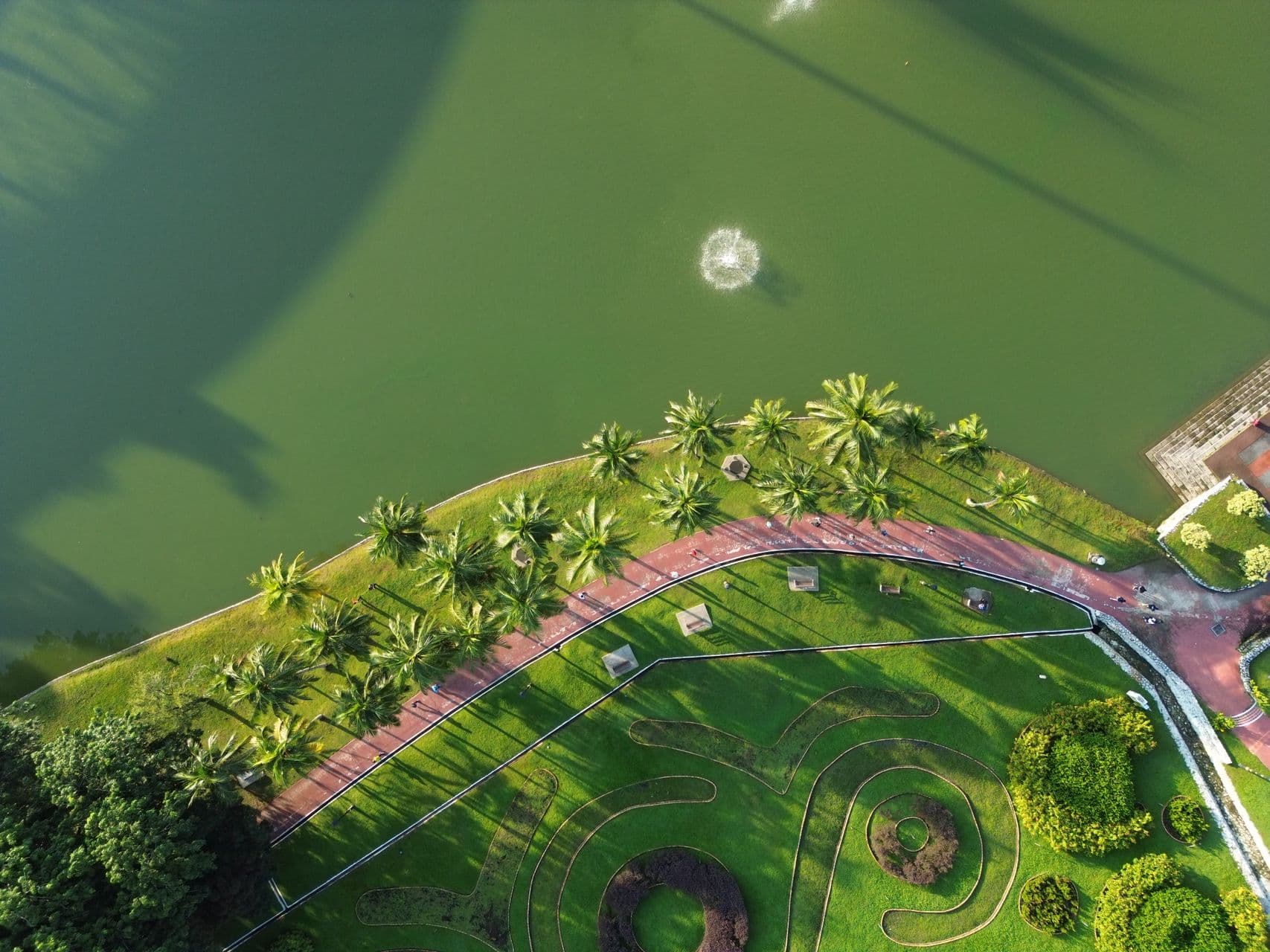 Landscape Design & Installation