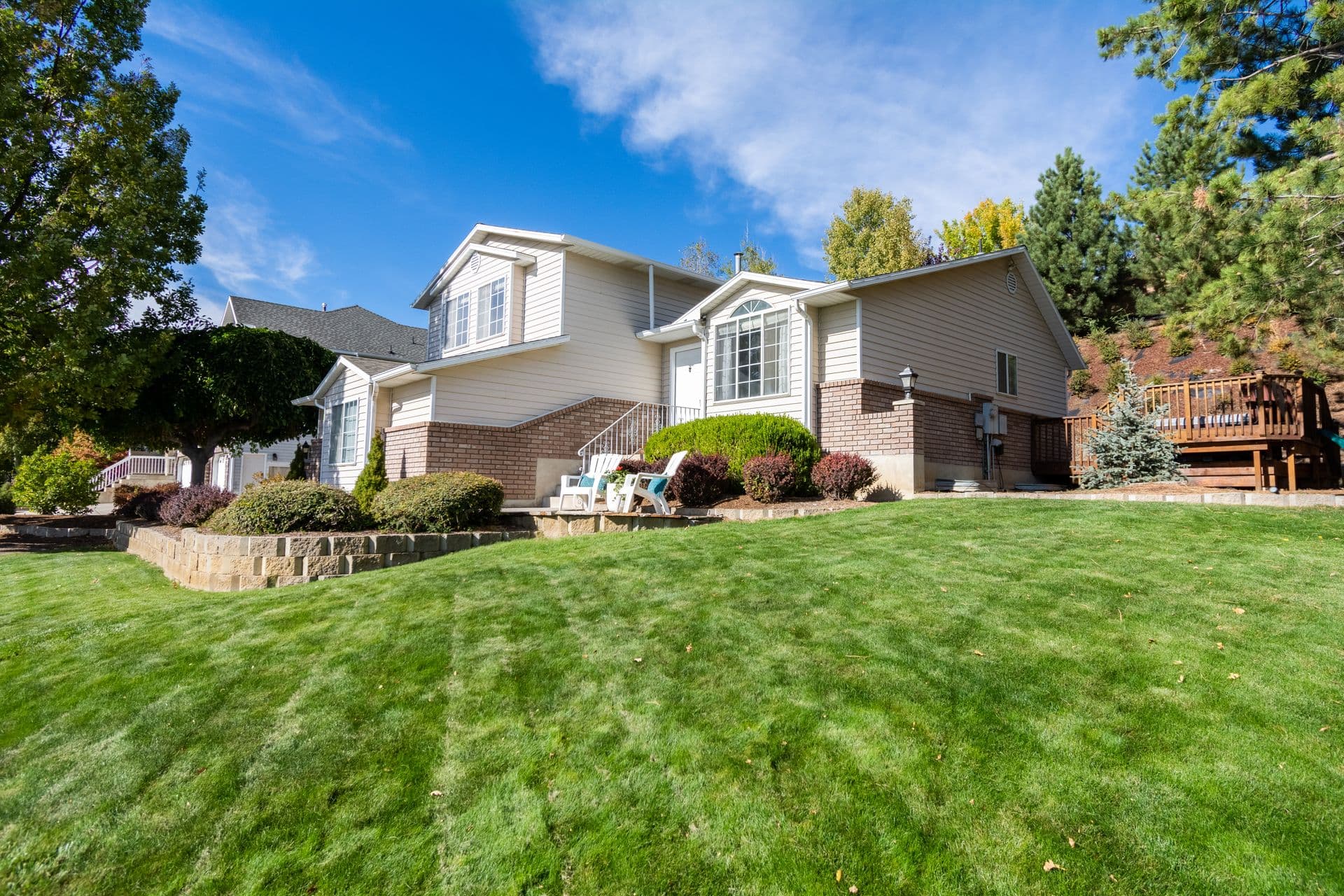 Lawn Maintenance & Care